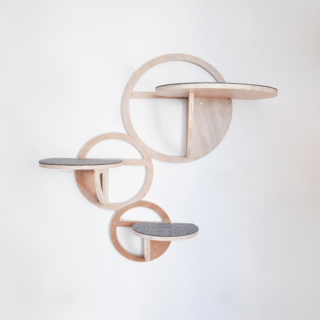 SkyBubble – Das stylische Kletterparadies für Katzen - FlowDo - AnimalsKatzen Kletterwand