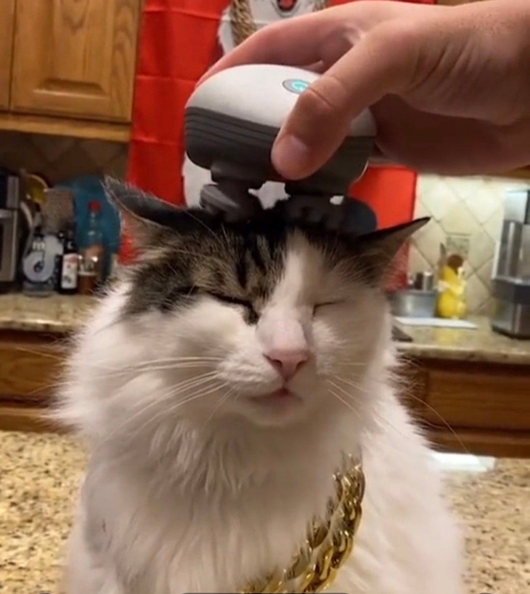 Katzenmassagegerät WhiskerWave - FlowDo - Animals