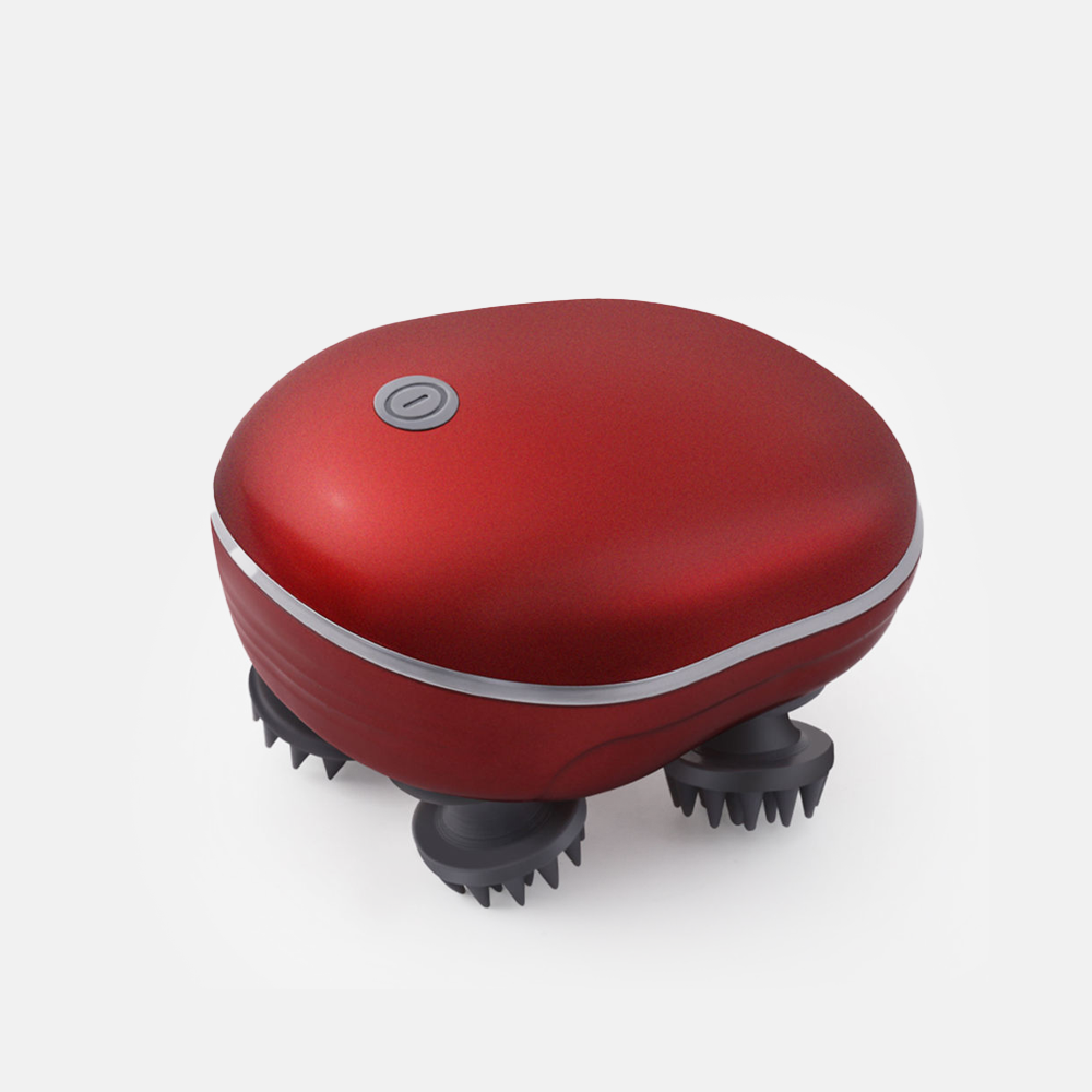 WhiskerWave– Wellness &amp; Gesundheit für deine Katze