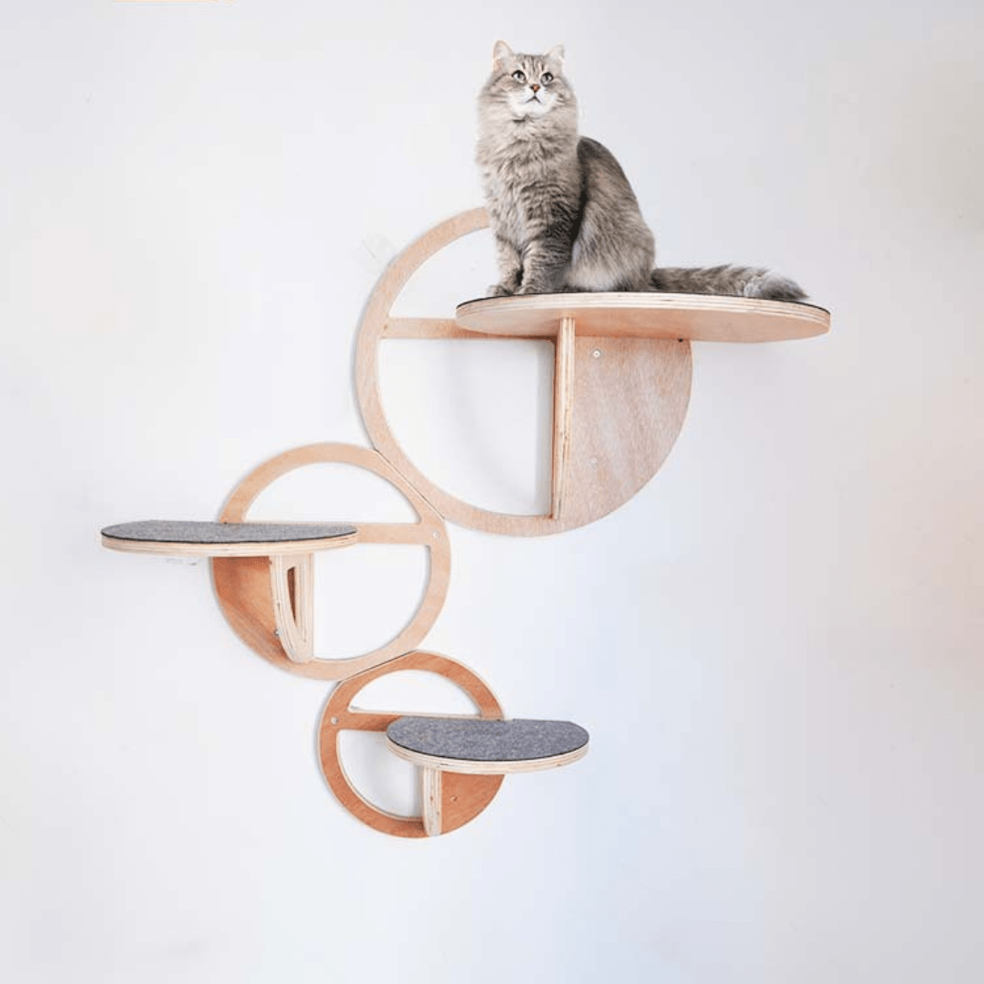 SkyBubble – Das stylische Kletterparadies für Katzen - FlowDo - AnimalsKatzen Kletterwand