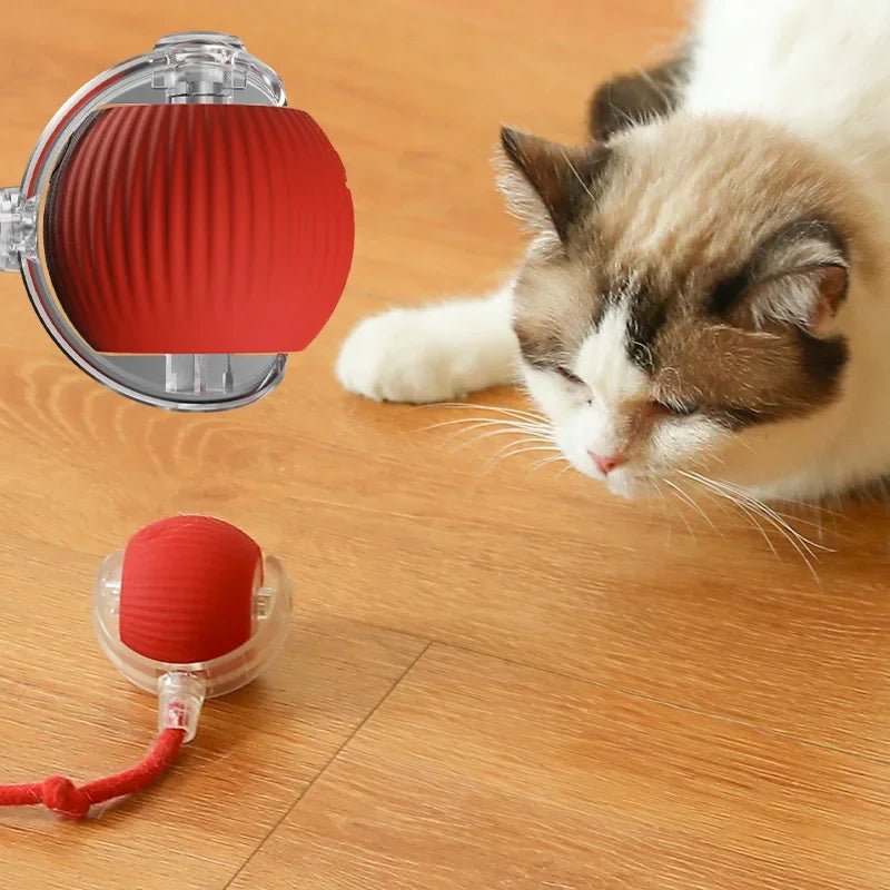 Smart Rolling Ball Katzenspielzeug – Ansicht 4