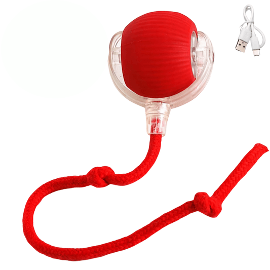 Smart Rolling Ball Katzenspielzeug – Hauptbild