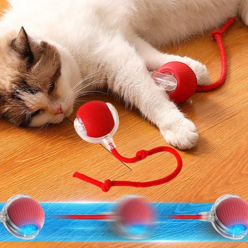Smart Rolling Ball Katzenspielzeug – Ansicht 3