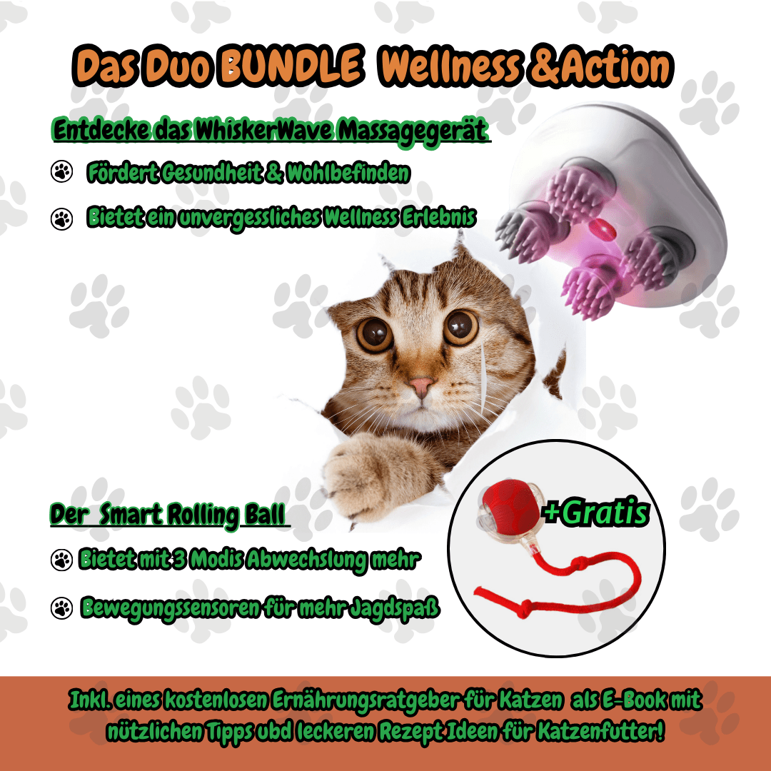 WhiskerWave Duo Set - Für Action&Entspannung - FlowDo - AnimalsKatzenspielzeug