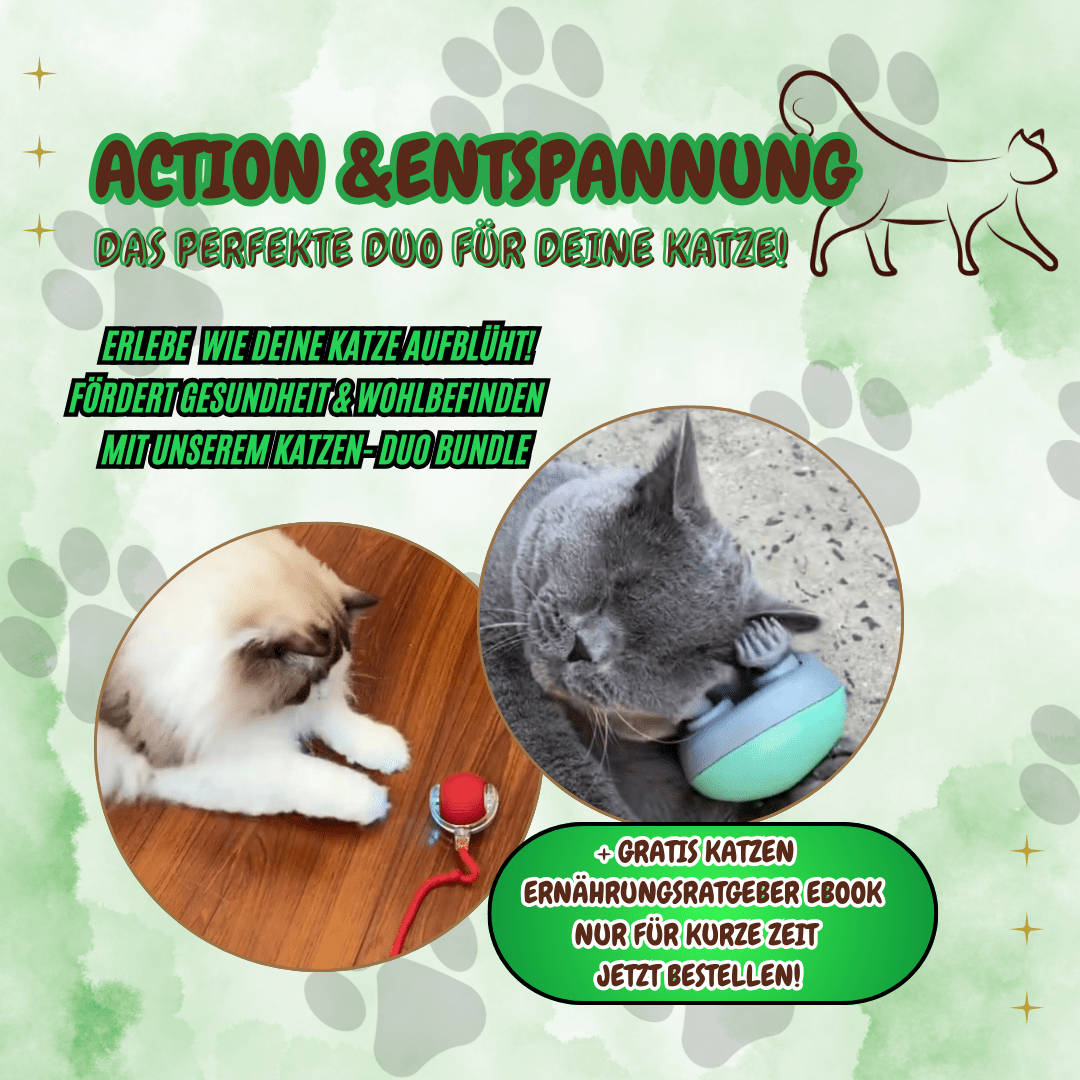 WhiskerWave Duo Set - Für Action&Entspannung - FlowDo - AnimalsKatzenspielzeug